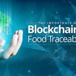 Reasons Behind World Prefers Blockchain in Food Traceability
