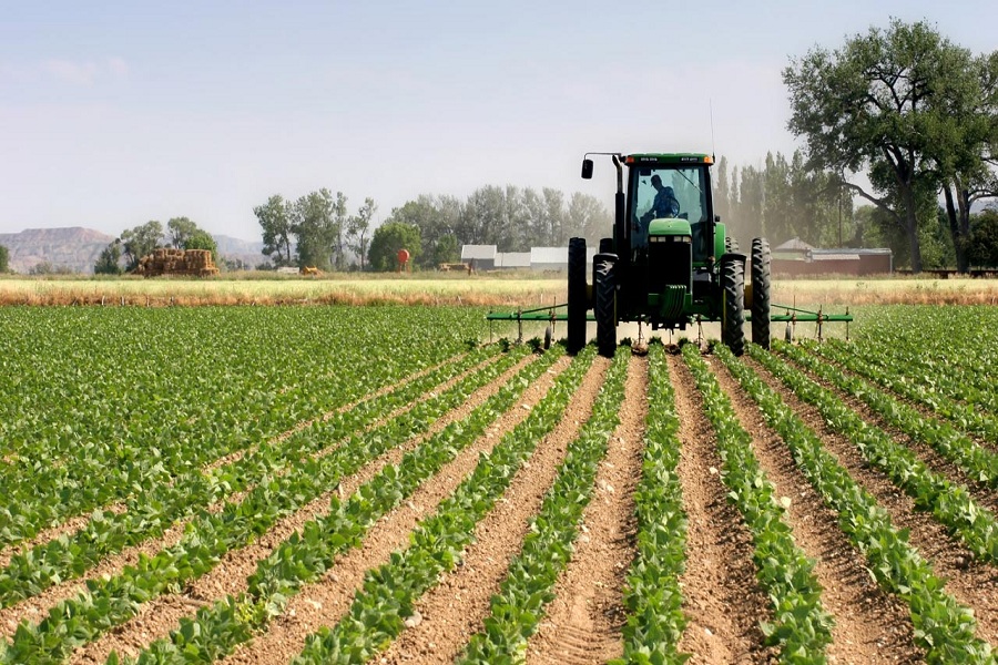 Technology in Agriculture – Tech Investment For Food technology